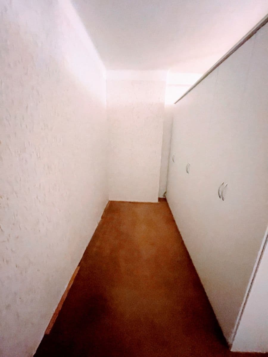 1 bedroom with open-plan kitchen flat to rent, 55 m², Baranova, Prague, Prague 1 bedroom with open-plan kitchen flat to rent, 55 m², Baranova, Prague, Prague