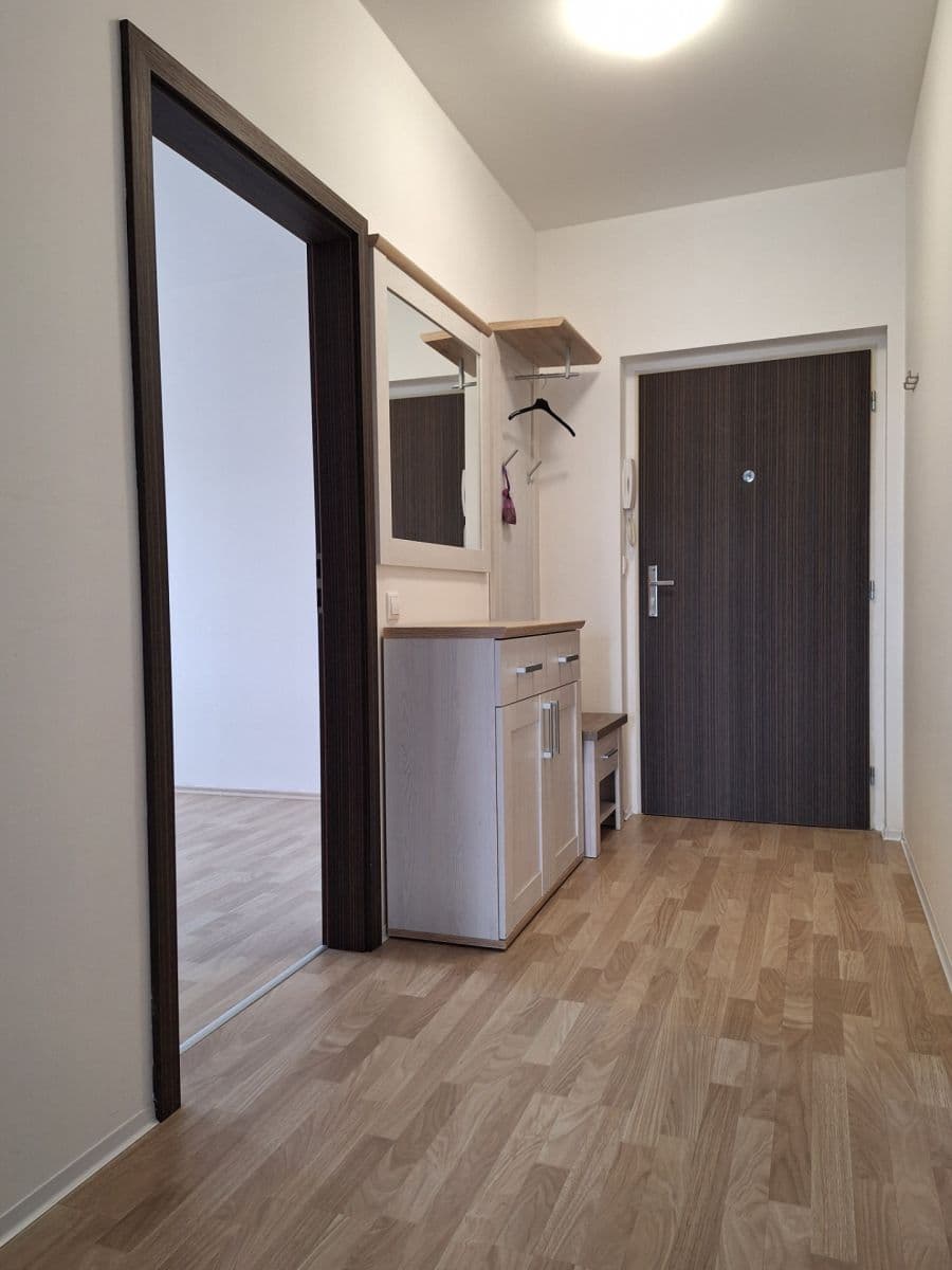 1 bedroom with open-plan kitchen flat to rent, 54 m², Václava Trojana, Prague, Prague 1 bedroom with open-plan kitchen flat to rent, 54 m², Václava Trojana, Prague, Prague