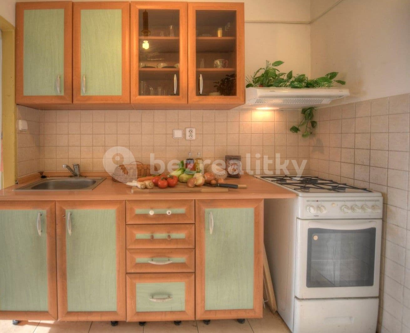 1 bedroom with open-plan kitchen flat to rent, 41 m², Mnichovická, Prague, Prague 1 bedroom with open-plan kitchen flat to rent, 41 m², Mnichovická, Prague, Prague