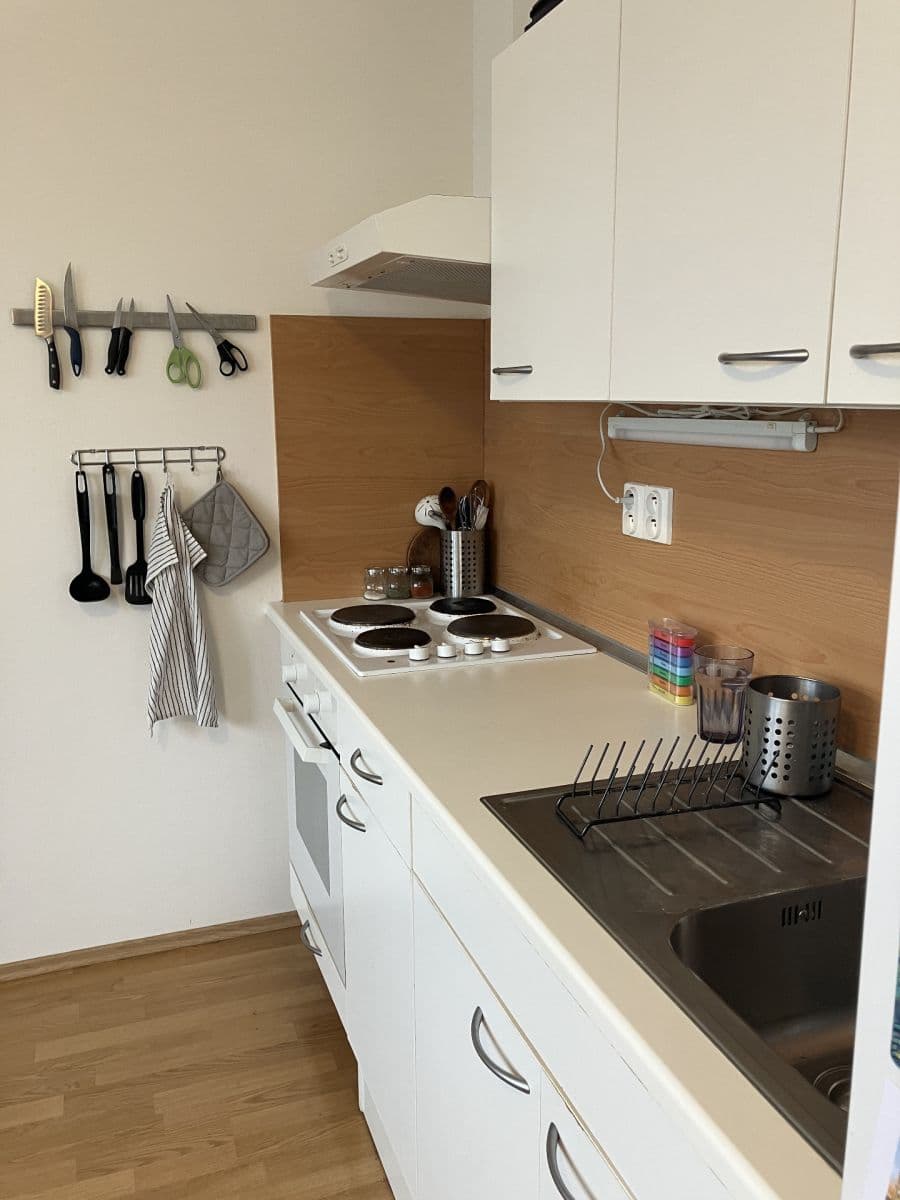 1 bedroom with open-plan kitchen flat for sale, 45 m², Hrázka, Brno, Jihomoravský Region 1 bedroom with open-plan kitchen flat for sale, 45 m², Hrázka, Brno, Jihomoravský Region