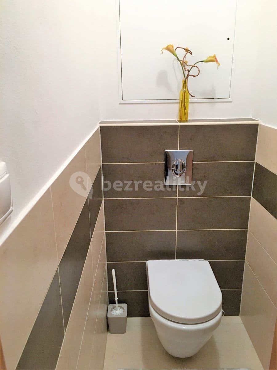Studio flat to rent, 41 m², Křepelčí, Brno, Jihomoravský Region Studio flat to rent, 41 m², Křepelčí, Brno, Jihomoravský Region
