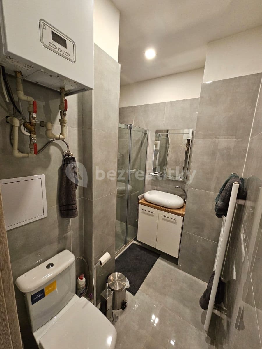 1 bedroom with open-plan kitchen flat to rent, 43 m², Na Louži, Prague, Prague 1 bedroom with open-plan kitchen flat to rent, 43 m², Na Louži, Prague, Prague
