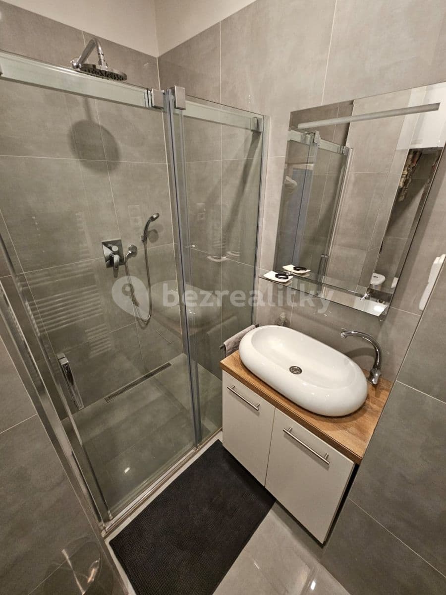 1 bedroom with open-plan kitchen flat to rent, 43 m², Na Louži, Prague, Prague 1 bedroom with open-plan kitchen flat to rent, 43 m², Na Louži, Prague, Prague