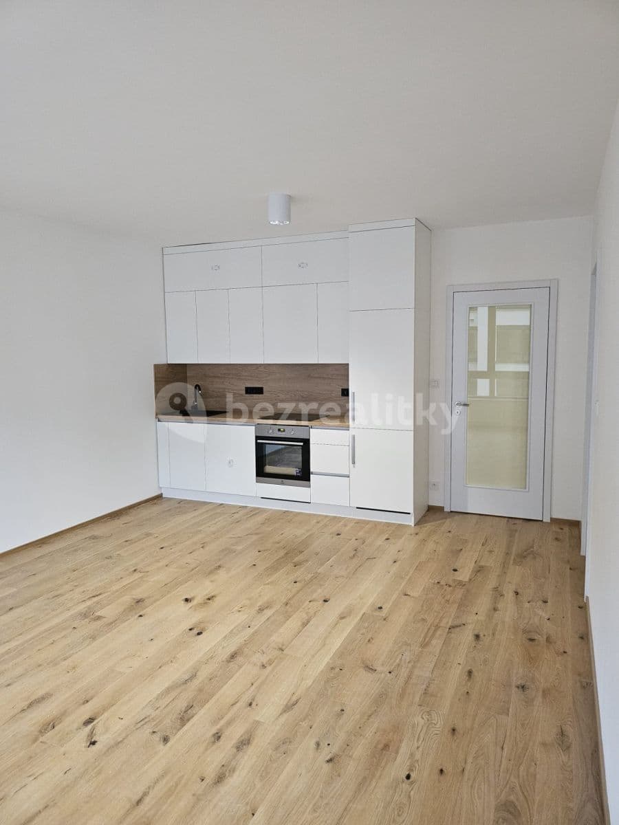1 bedroom with open-plan kitchen flat to rent, 56 m², Prague, Prague 1 bedroom with open-plan kitchen flat to rent, 56 m², Prague, Prague