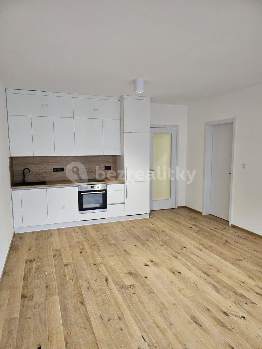 1 bedroom with open-plan kitchen flat to rent, 56 m², Prague, Prague 1 bedroom with open-plan kitchen flat to rent, 56 m², Prague, Prague
