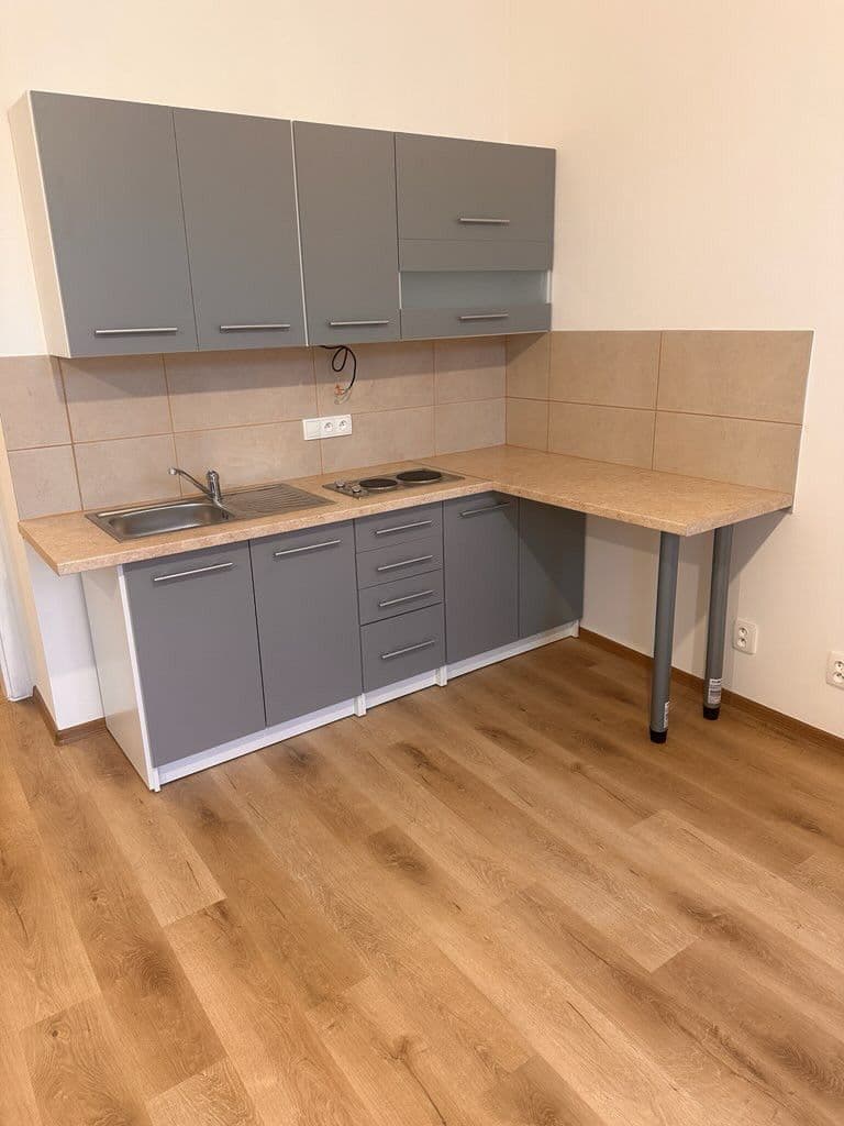 flat to rent, 40 m², Ječná, Prague, Prague flat to rent, 40 m², Ječná, Prague, Prague