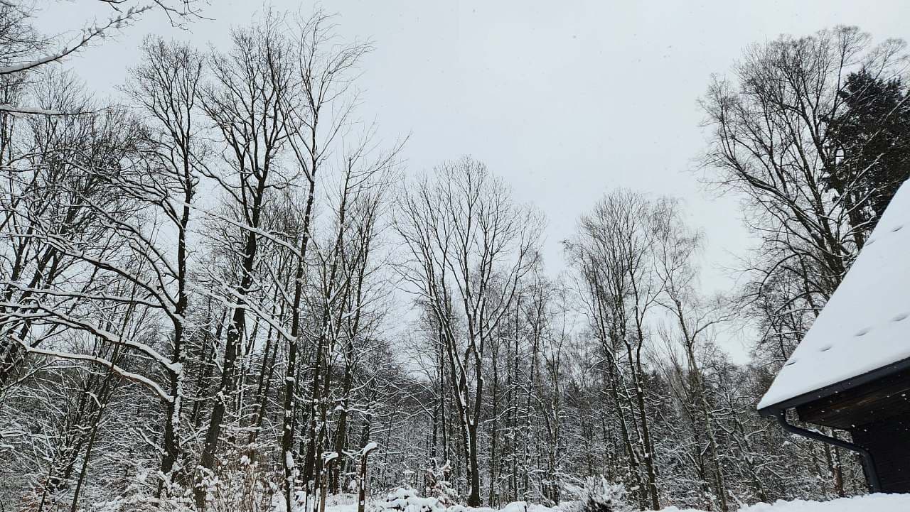 recreational property to rent, 0 m², Kamenický Šenov, Liberecký Region recreational property to rent, 0 m², Kamenický Šenov, Liberecký Region