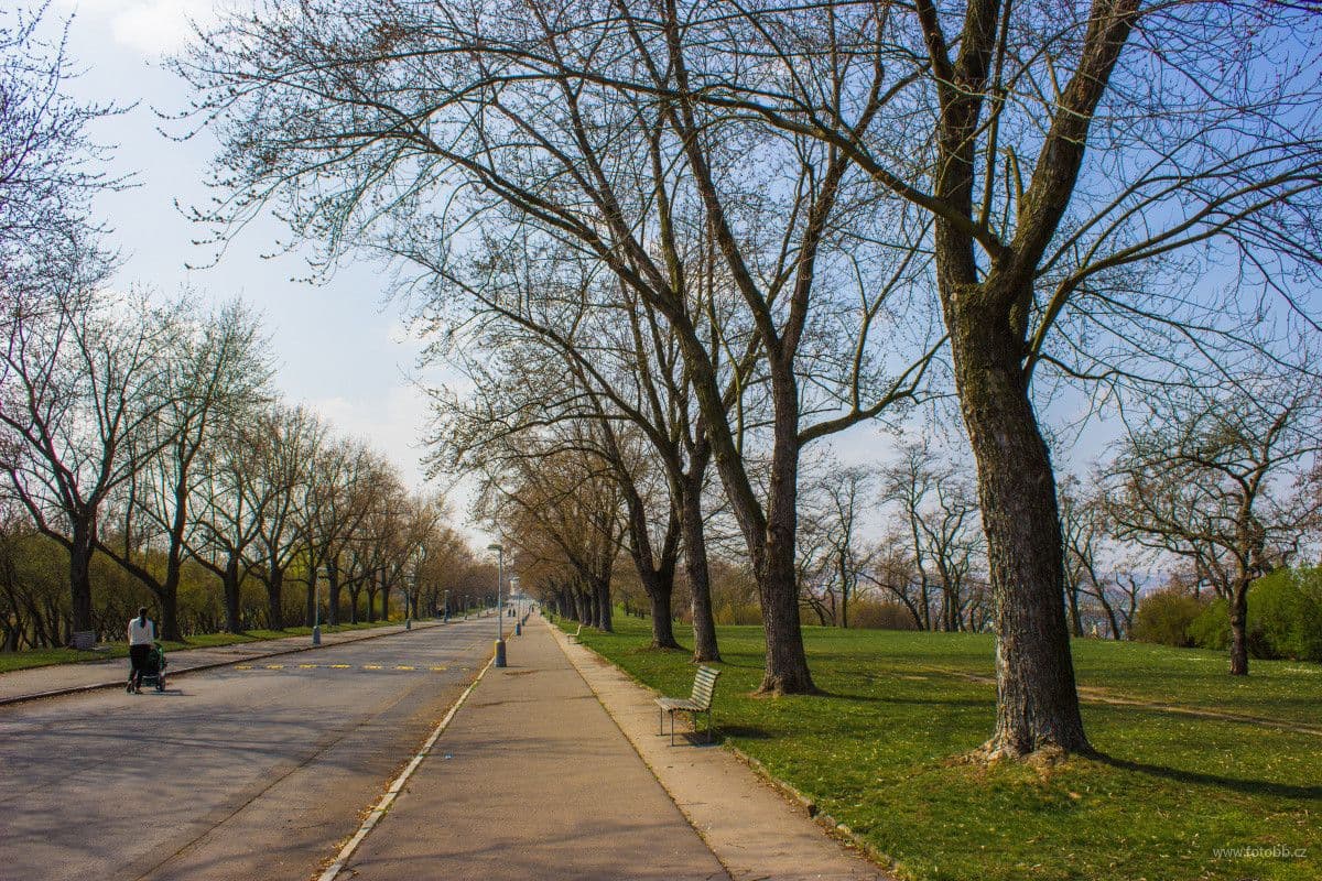 flat to rent, 26 m², Kališnická, Prague, Prague flat to rent, 26 m², Kališnická, Prague, Prague