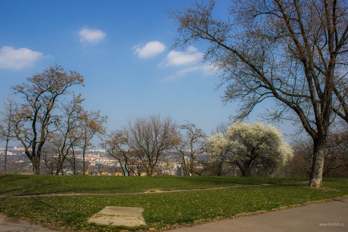 flat to rent, 26 m², Kališnická, Prague, Prague flat to rent, 26 m², Kališnická, Prague, Prague