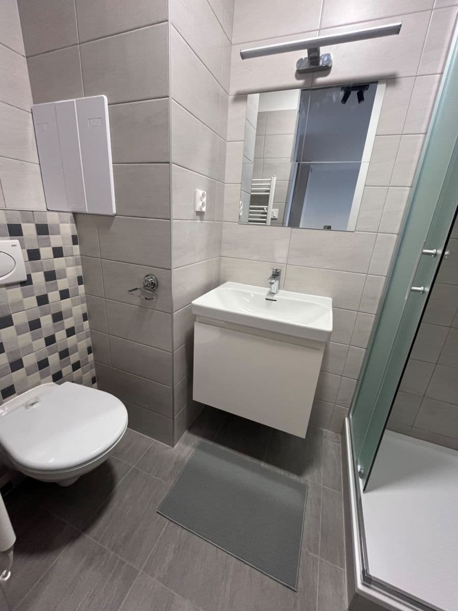 1 bedroom with open-plan kitchen flat to rent, 38 m², Vřesová, Prague, Prague 1 bedroom with open-plan kitchen flat to rent, 38 m², Vřesová, Prague, Prague