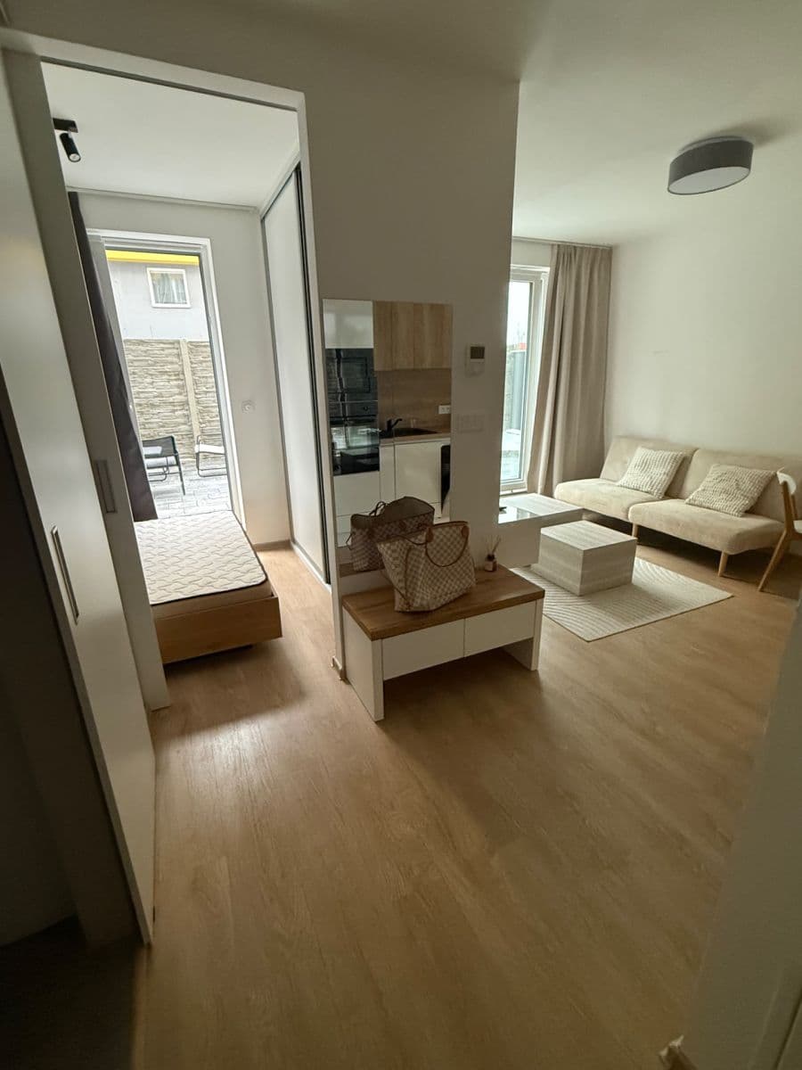 1 bedroom with open-plan kitchen flat to rent, 38 m², Vřesová, Prague, Prague 1 bedroom with open-plan kitchen flat to rent, 38 m², Vřesová, Prague, Prague
