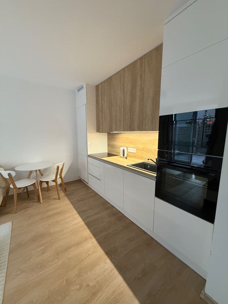 1 bedroom with open-plan kitchen flat to rent, 38 m², Vřesová, Prague, Prague 1 bedroom with open-plan kitchen flat to rent, 38 m², Vřesová, Prague, Prague
