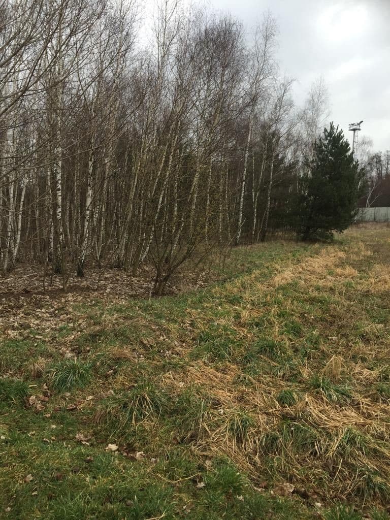 plot for sale, 3,522 m², Řečany nad Labem, Pardubický Region plot for sale, 3,522 m², Řečany nad Labem, Pardubický Region