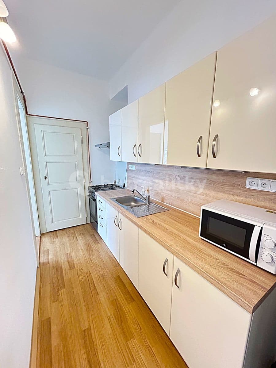 1 bedroom with open-plan kitchen flat to rent, 52 m², Čajkovského, Prague, Prague 1 bedroom with open-plan kitchen flat to rent, 52 m², Čajkovského, Prague, Prague