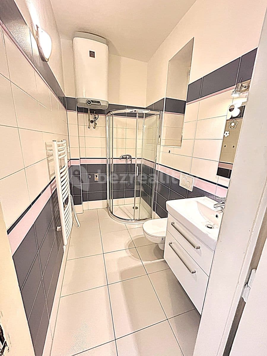 1 bedroom with open-plan kitchen flat to rent, 52 m², Čajkovského, Prague, Prague 1 bedroom with open-plan kitchen flat to rent, 52 m², Čajkovského, Prague, Prague