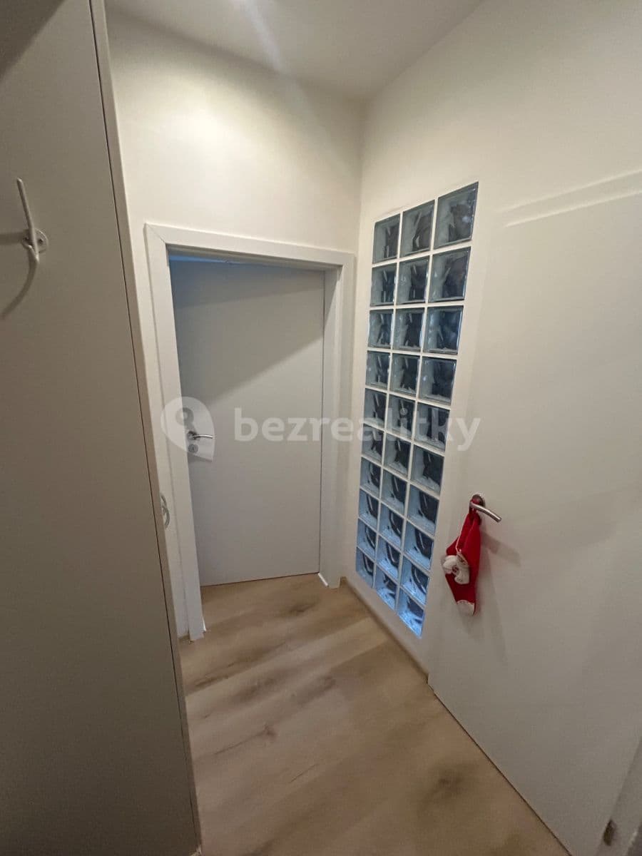 1 bedroom with open-plan kitchen flat to rent, 44 m², Pod Hájkem, Prague, Prague 1 bedroom with open-plan kitchen flat to rent, 44 m², Pod Hájkem, Prague, Prague