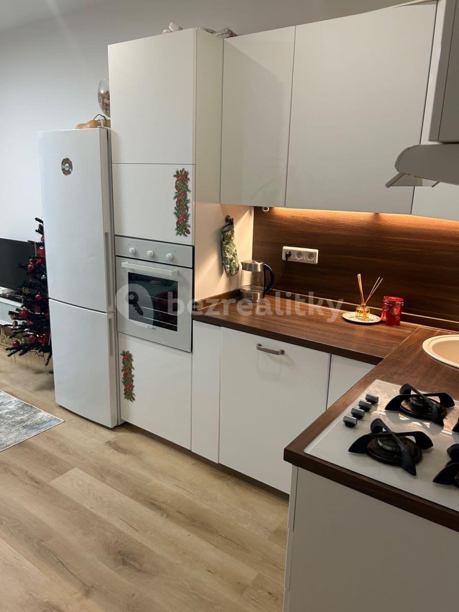 1 bedroom with open-plan kitchen flat to rent, 44 m², Pod Hájkem, Prague, Prague 1 bedroom with open-plan kitchen flat to rent, 44 m², Pod Hájkem, Prague, Prague