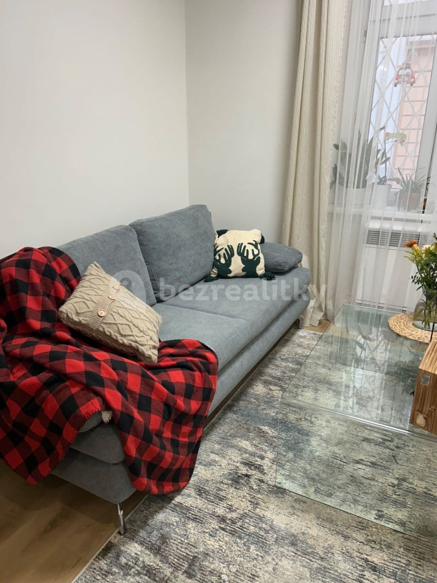 1 bedroom with open-plan kitchen flat to rent, 44 m², Pod Hájkem, Prague, Prague 1 bedroom with open-plan kitchen flat to rent, 44 m², Pod Hájkem, Prague, Prague