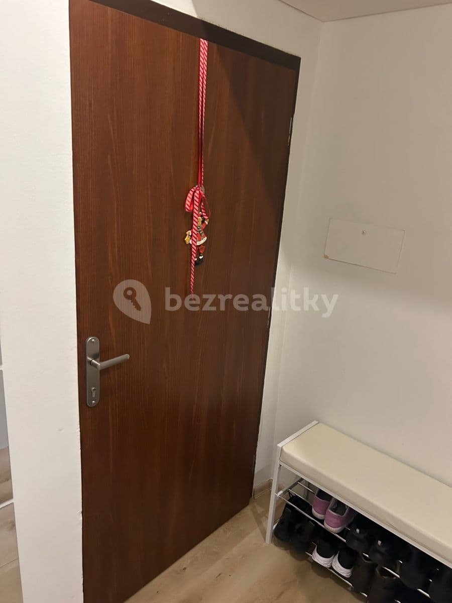 1 bedroom with open-plan kitchen flat to rent, 44 m², Pod Hájkem, Prague, Prague 1 bedroom with open-plan kitchen flat to rent, 44 m², Pod Hájkem, Prague, Prague