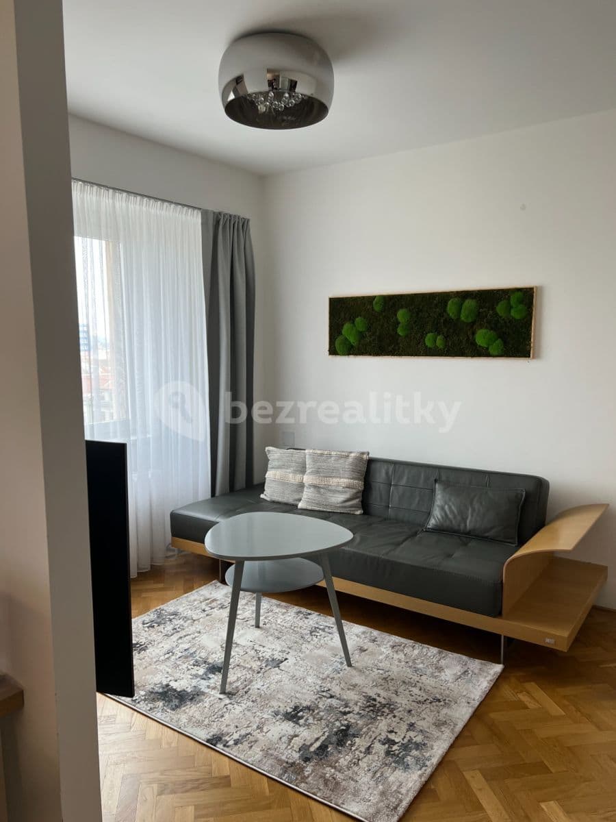 1 bedroom with open-plan kitchen flat to rent, 66 m², Botanická, Brno, Jihomoravský Region 1 bedroom with open-plan kitchen flat to rent, 66 m², Botanická, Brno, Jihomoravský Region