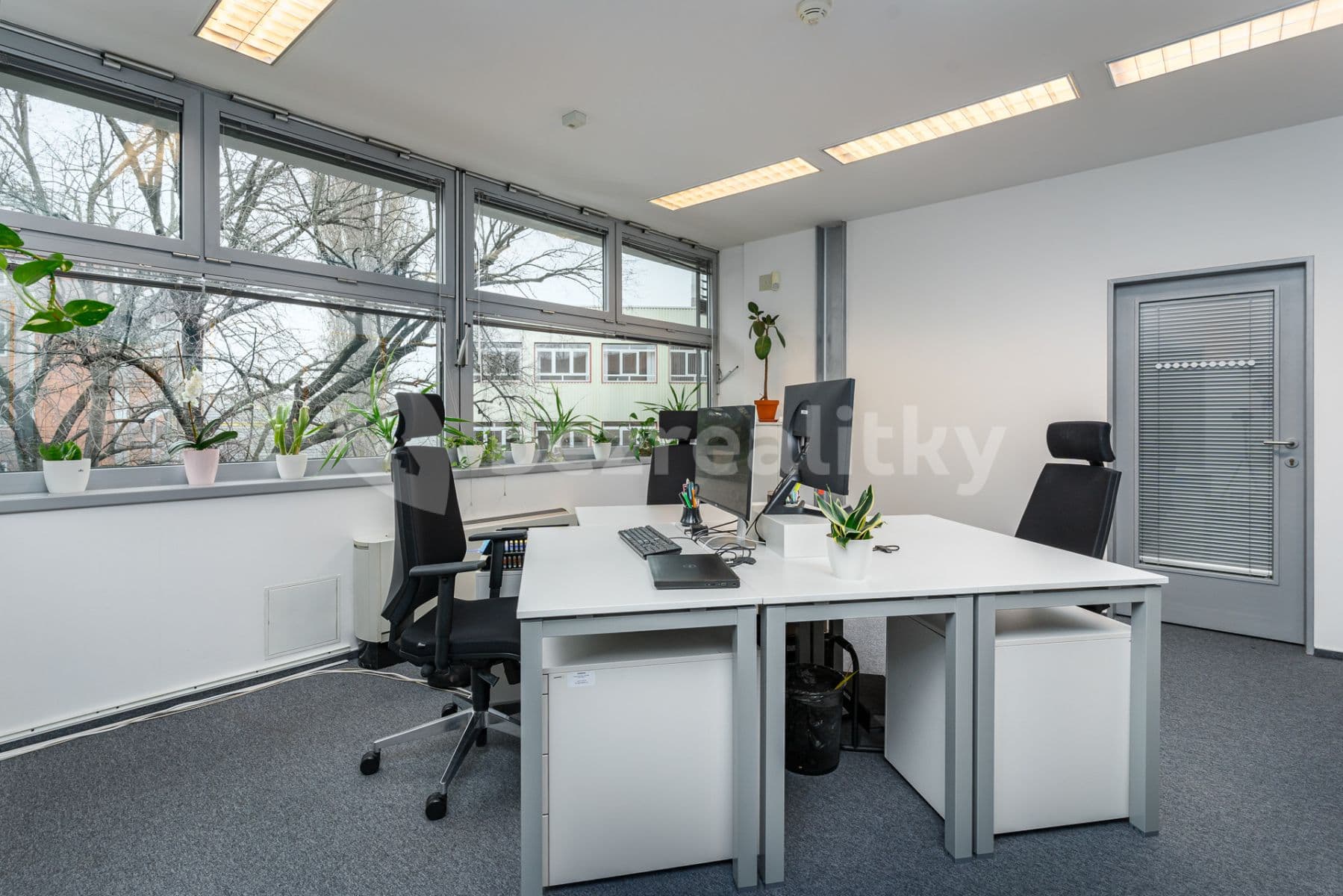 office to rent, 450 m², Plynárenská, Brno, Jihomoravský Region office to rent, 450 m², Plynárenská, Brno, Jihomoravský Region