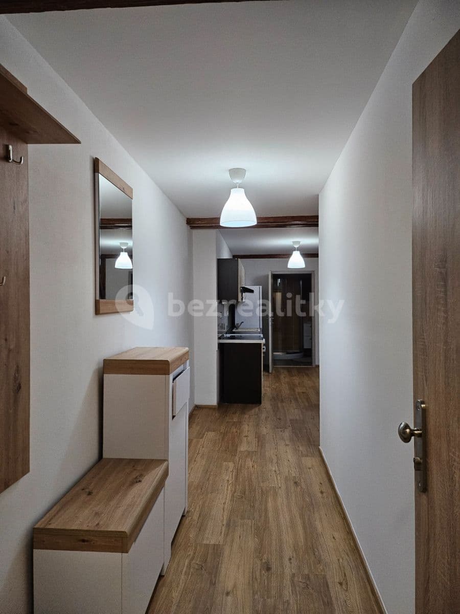 1 bedroom with open-plan kitchen flat to rent, 51 m², Sokolovská, Prague, Prague 1 bedroom with open-plan kitchen flat to rent, 51 m², Sokolovská, Prague, Prague