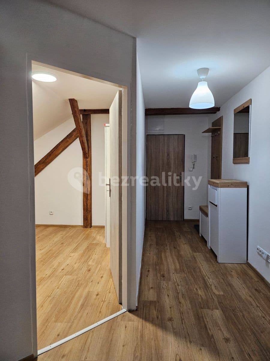 1 bedroom with open-plan kitchen flat to rent, 51 m², Sokolovská, Prague, Prague 1 bedroom with open-plan kitchen flat to rent, 51 m², Sokolovská, Prague, Prague
