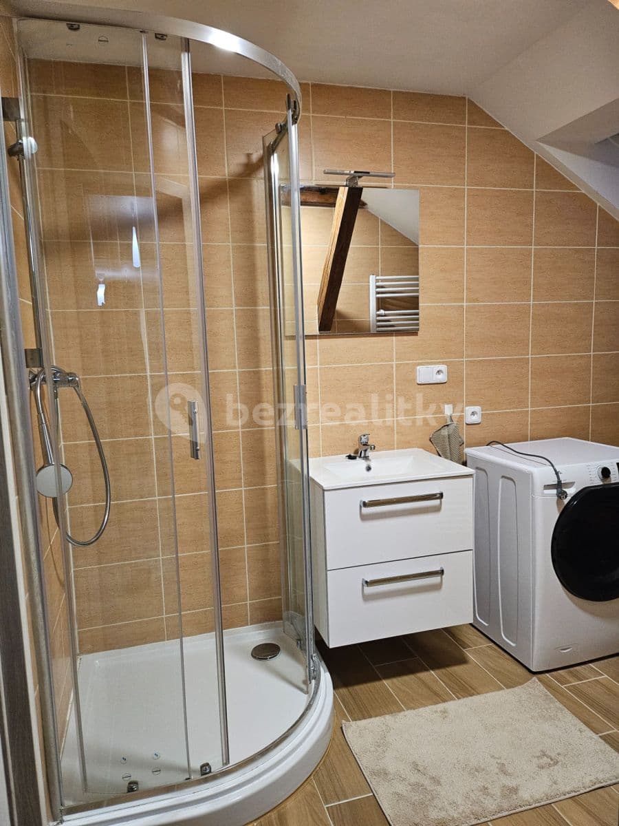 1 bedroom with open-plan kitchen flat to rent, 51 m², Sokolovská, Prague, Prague 1 bedroom with open-plan kitchen flat to rent, 51 m², Sokolovská, Prague, Prague