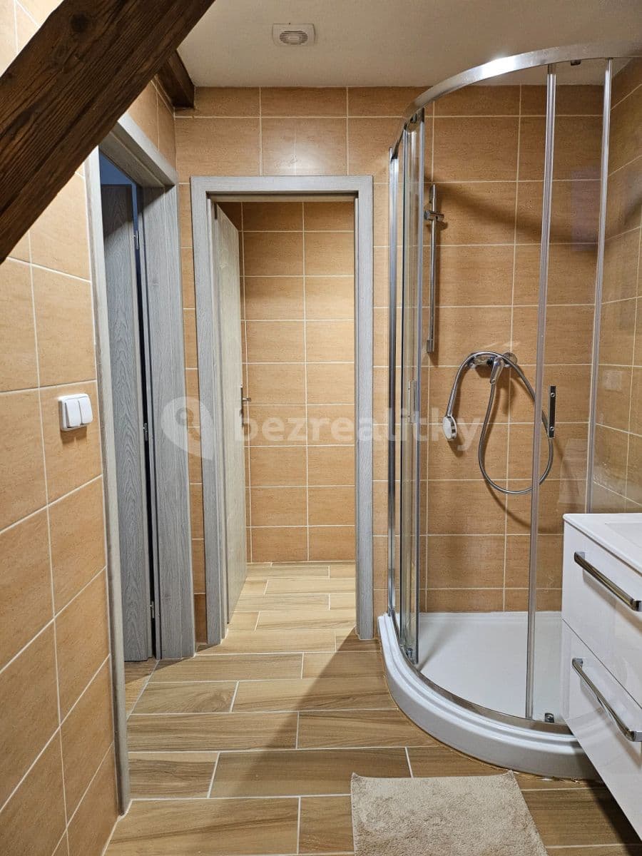 1 bedroom with open-plan kitchen flat to rent, 51 m², Sokolovská, Prague, Prague 1 bedroom with open-plan kitchen flat to rent, 51 m², Sokolovská, Prague, Prague