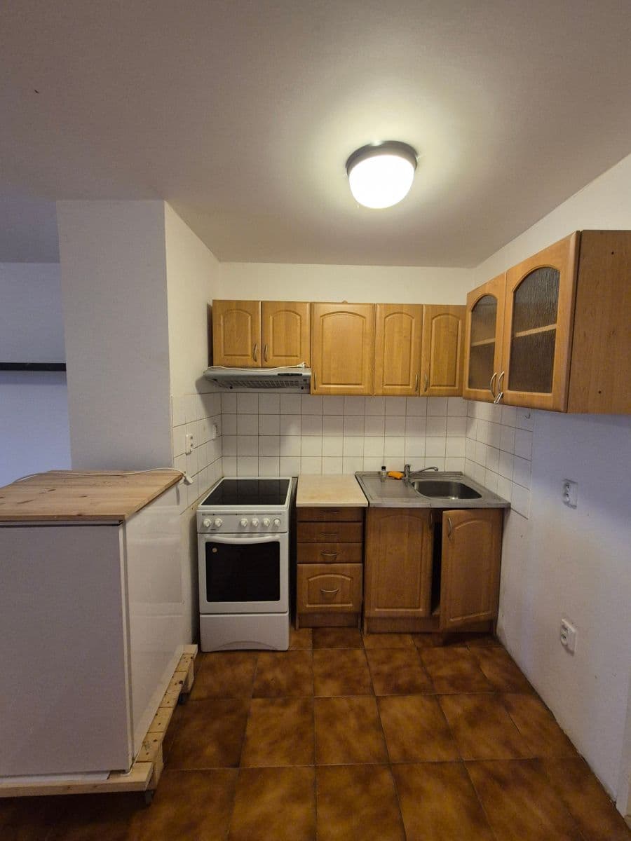 1 bedroom with open-plan kitchen flat for sale, 44 m², Litovická, Prague, Prague 1 bedroom with open-plan kitchen flat for sale, 44 m², Litovická, Prague, Prague