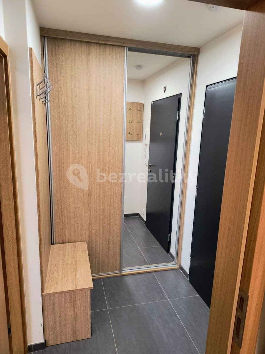 1 bedroom with open-plan kitchen flat to rent, 51 m², Karlická, Prague, Prague 1 bedroom with open-plan kitchen flat to rent, 51 m², Karlická, Prague, Prague