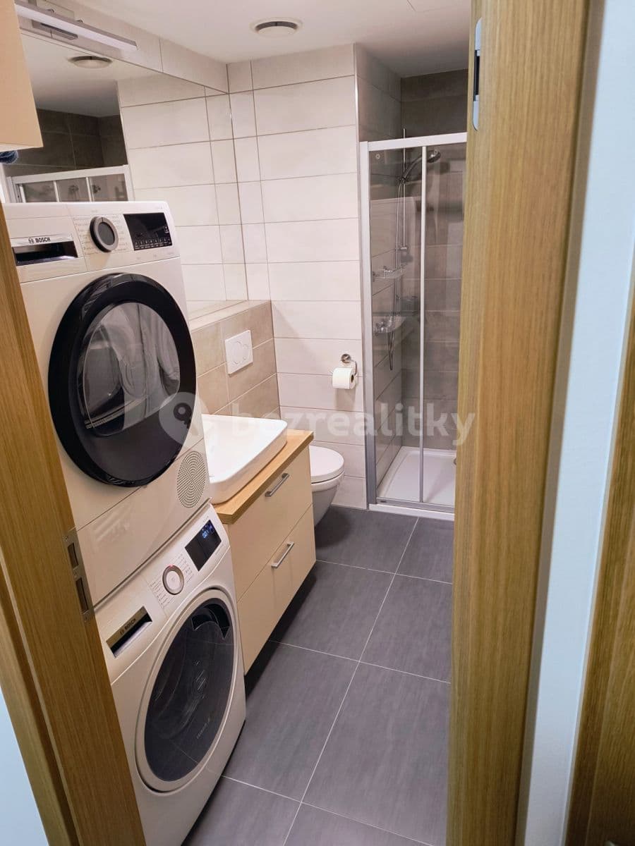 1 bedroom with open-plan kitchen flat to rent, 51 m², Karlická, Prague, Prague 1 bedroom with open-plan kitchen flat to rent, 51 m², Karlická, Prague, Prague