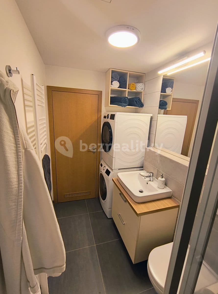 1 bedroom with open-plan kitchen flat to rent, 51 m², Karlická, Prague, Prague 1 bedroom with open-plan kitchen flat to rent, 51 m², Karlická, Prague, Prague