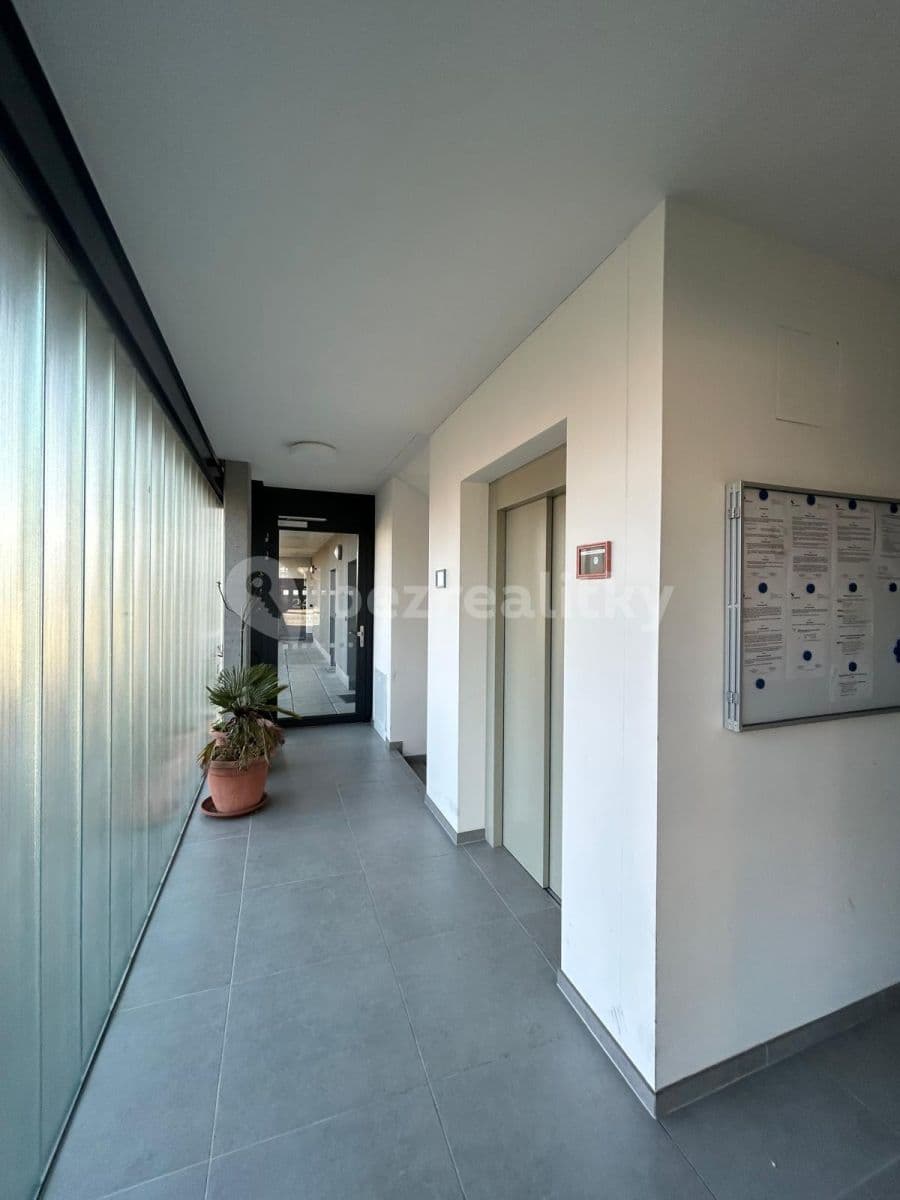 1 bedroom with open-plan kitchen flat to rent, 51 m², Karlická, Prague, Prague 1 bedroom with open-plan kitchen flat to rent, 51 m², Karlická, Prague, Prague