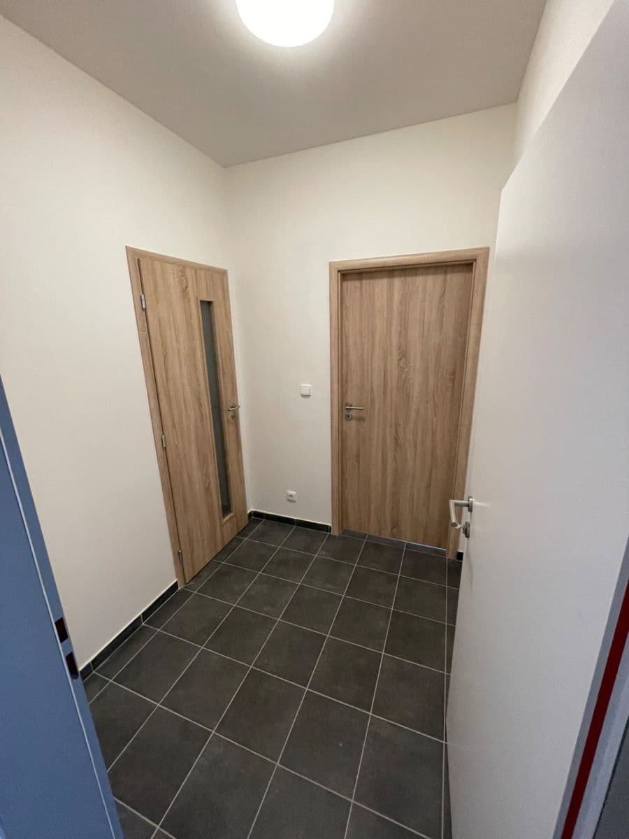 Studio flat to rent, 30 m², Ptice, Středočeský Region Studio flat to rent, 30 m², Ptice, Středočeský Region