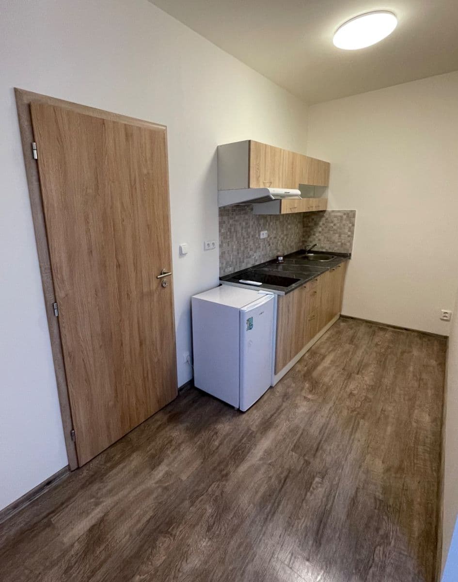Studio flat to rent, 30 m², Ptice, Středočeský Region Studio flat to rent, 30 m², Ptice, Středočeský Region