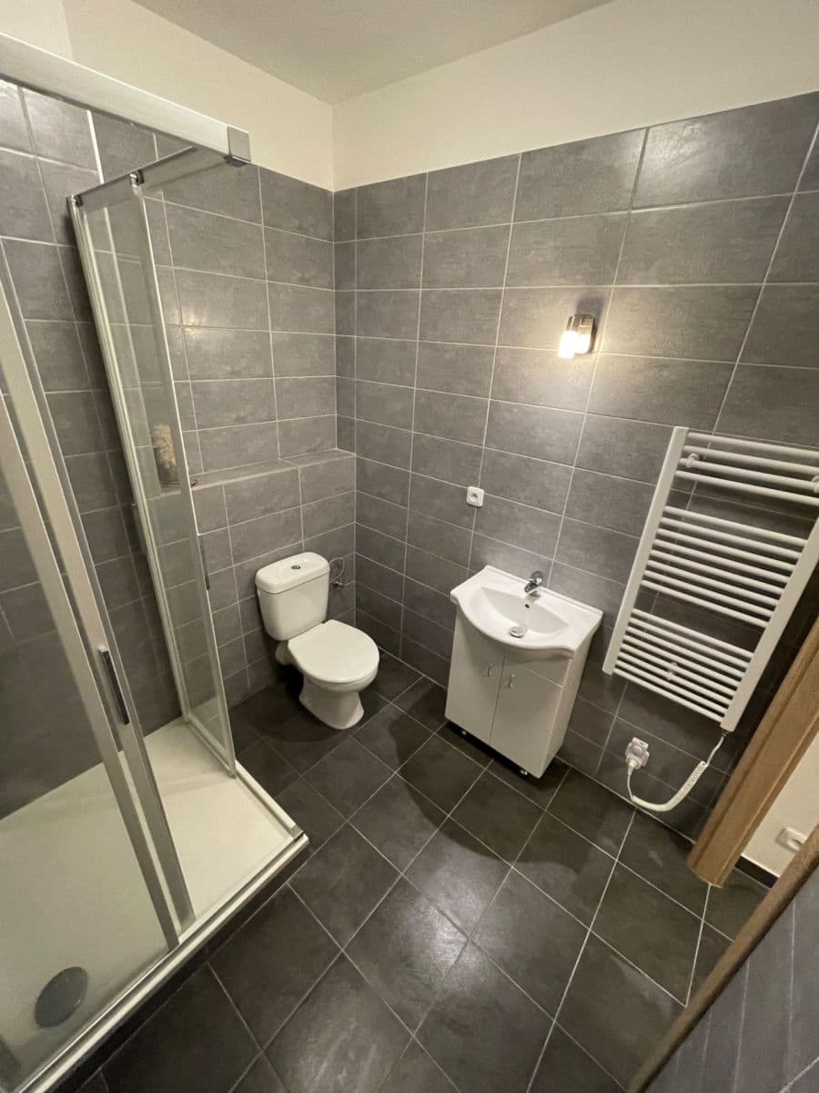 Studio flat to rent, 30 m², Ptice, Středočeský Region Studio flat to rent, 30 m², Ptice, Středočeský Region