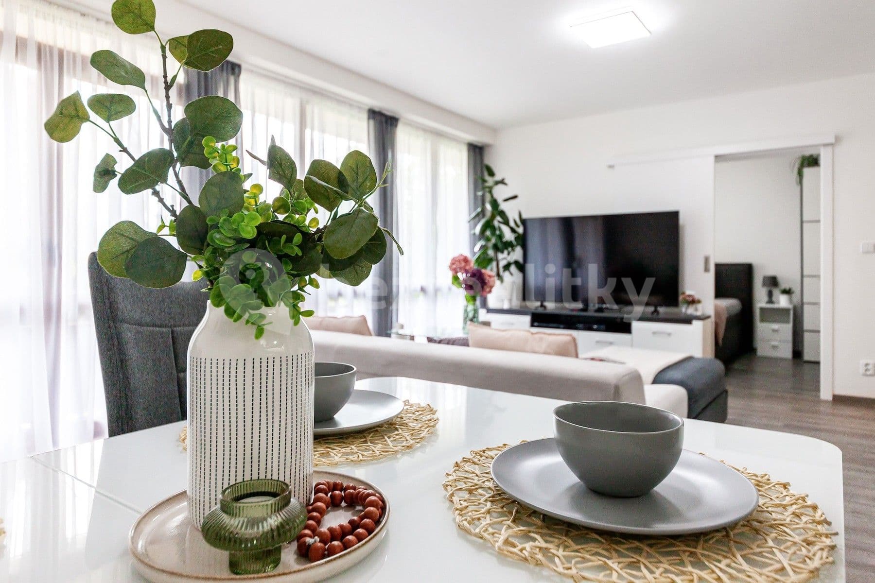 3 bedroom with open-plan kitchen flat to rent, 86 m², Zelený pruh, Prague, Prague 3 bedroom with open-plan kitchen flat to rent, 86 m², Zelený pruh, Prague, Prague