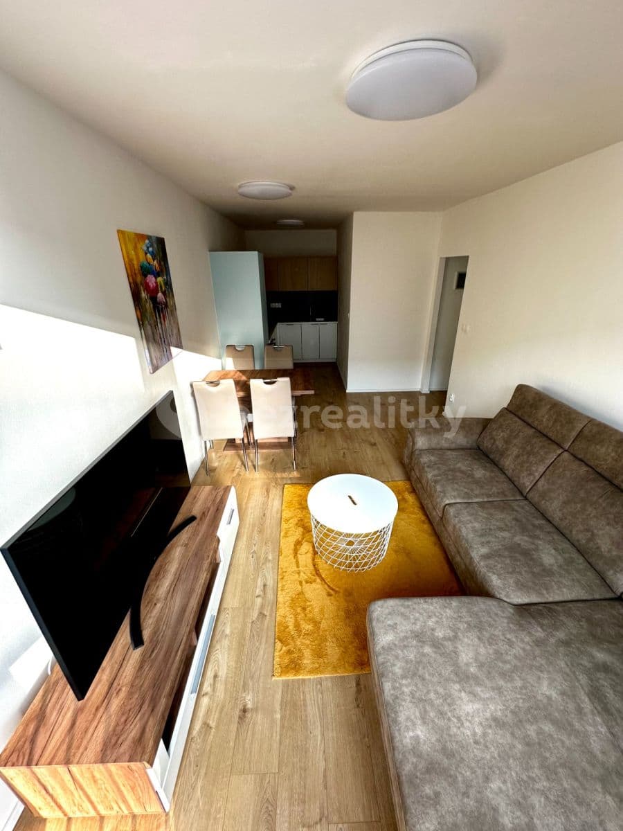 1 bedroom with open-plan kitchen flat to rent, 45 m², Frýdlantská, Prague, Prague 1 bedroom with open-plan kitchen flat to rent, 45 m², Frýdlantská, Prague, Prague
