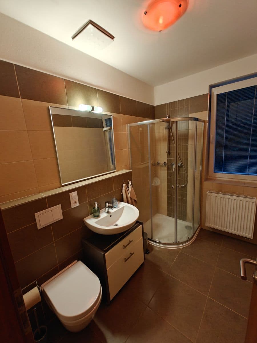 Studio flat to rent, 29 m², U Boru, České Budějovice, Jihočeský Region Studio flat to rent, 29 m², U Boru, České Budějovice, Jihočeský Region