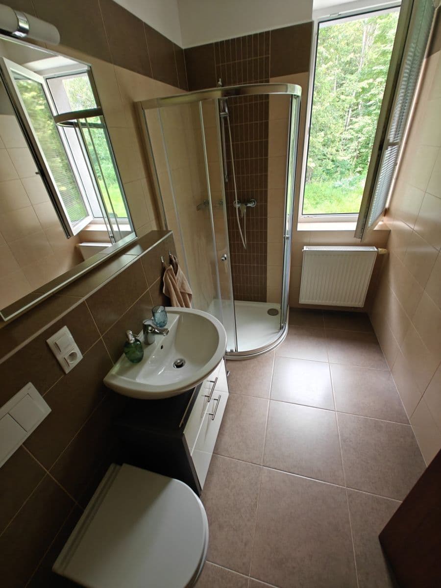 Studio flat to rent, 29 m², U Boru, České Budějovice, Jihočeský Region Studio flat to rent, 29 m², U Boru, České Budějovice, Jihočeský Region