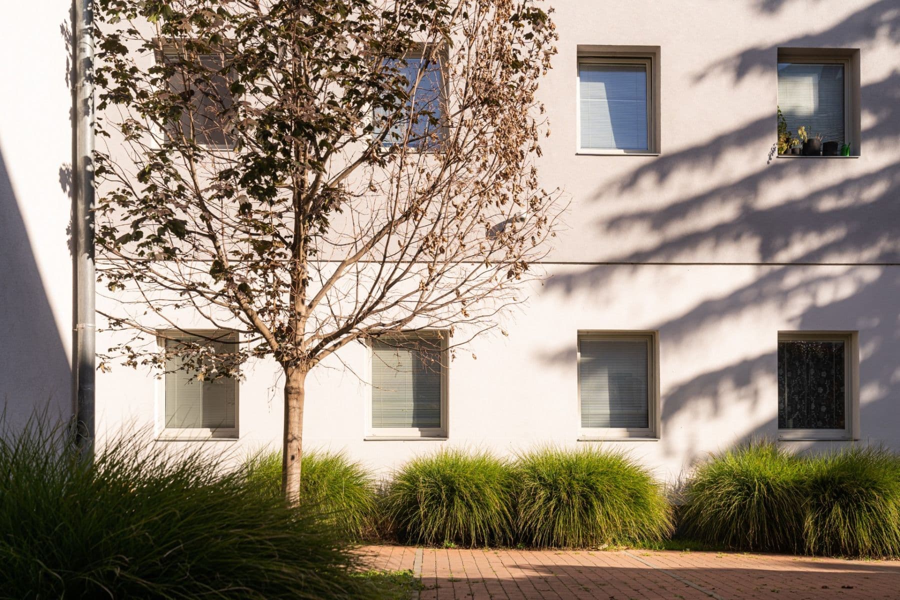 1 bedroom flat to rent, 24 m², Cejl, Brno, Jihomoravský Region 1 bedroom flat to rent, 24 m², Cejl, Brno, Jihomoravský Region