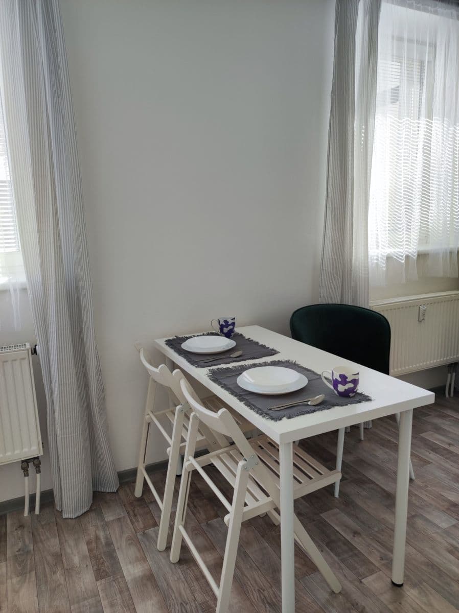 1 bedroom flat to rent, 24 m², Cejl, Brno, Jihomoravský Region 1 bedroom flat to rent, 24 m², Cejl, Brno, Jihomoravský Region