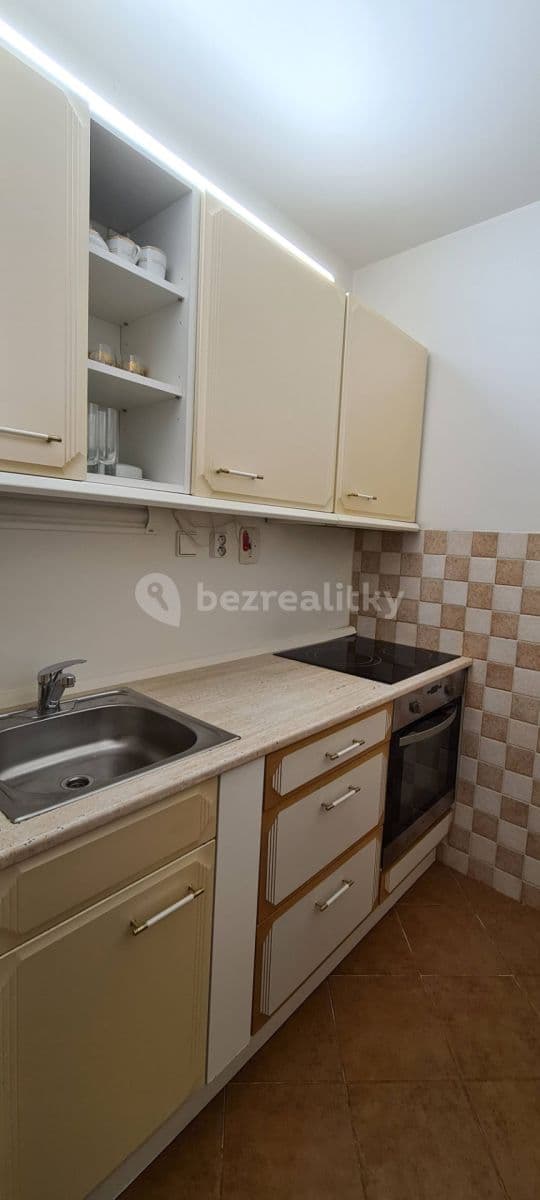 1 bedroom with open-plan kitchen flat to rent, 41 m², Vitošská, Prague, Prague 1 bedroom with open-plan kitchen flat to rent, 41 m², Vitošská, Prague, Prague