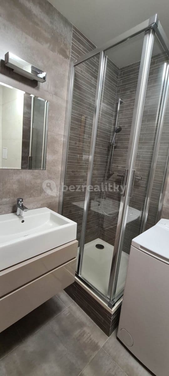 1 bedroom with open-plan kitchen flat to rent, 41 m², Vitošská, Prague, Prague 1 bedroom with open-plan kitchen flat to rent, 41 m², Vitošská, Prague, Prague