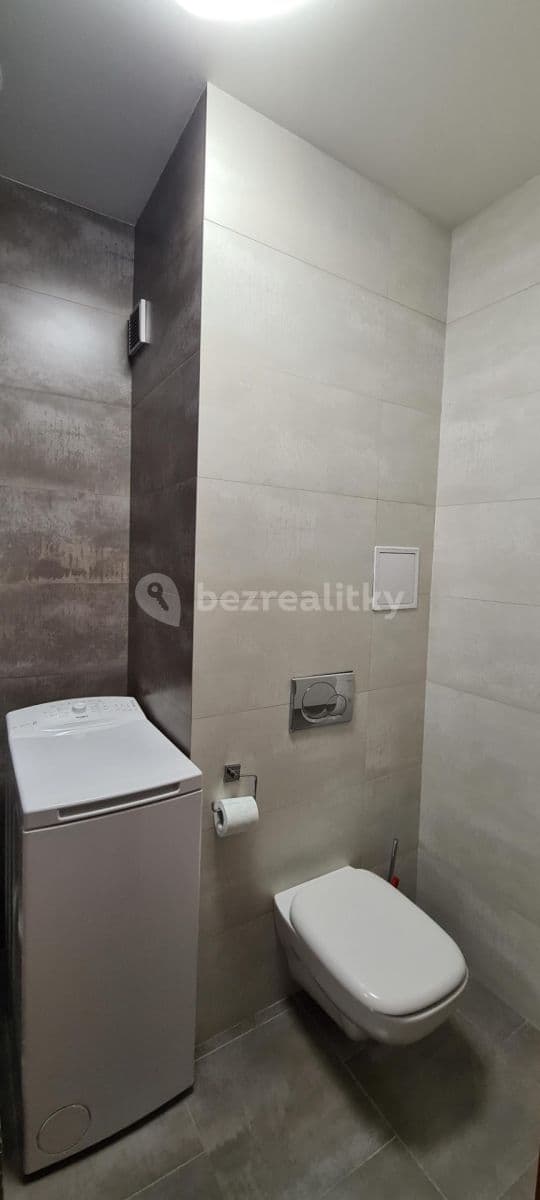 1 bedroom with open-plan kitchen flat to rent, 41 m², Vitošská, Prague, Prague 1 bedroom with open-plan kitchen flat to rent, 41 m², Vitošská, Prague, Prague