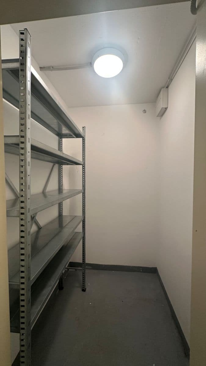 1 bedroom with open-plan kitchen flat to rent, 57 m², Pickova, Prague, Prague 1 bedroom with open-plan kitchen flat to rent, 57 m², Pickova, Prague, Prague