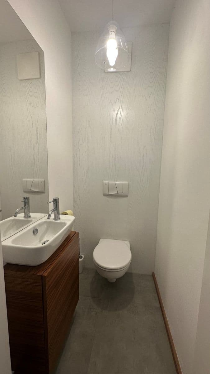 1 bedroom with open-plan kitchen flat to rent, 57 m², Pickova, Prague, Prague 1 bedroom with open-plan kitchen flat to rent, 57 m², Pickova, Prague, Prague