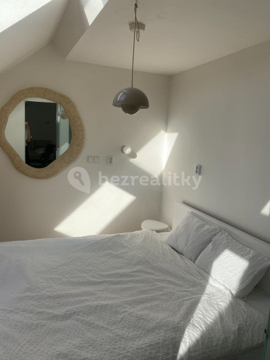 1 bedroom with open-plan kitchen flat to rent, 48 m², Jirečkova, Prague, Prague 1 bedroom with open-plan kitchen flat to rent, 48 m², Jirečkova, Prague, Prague
