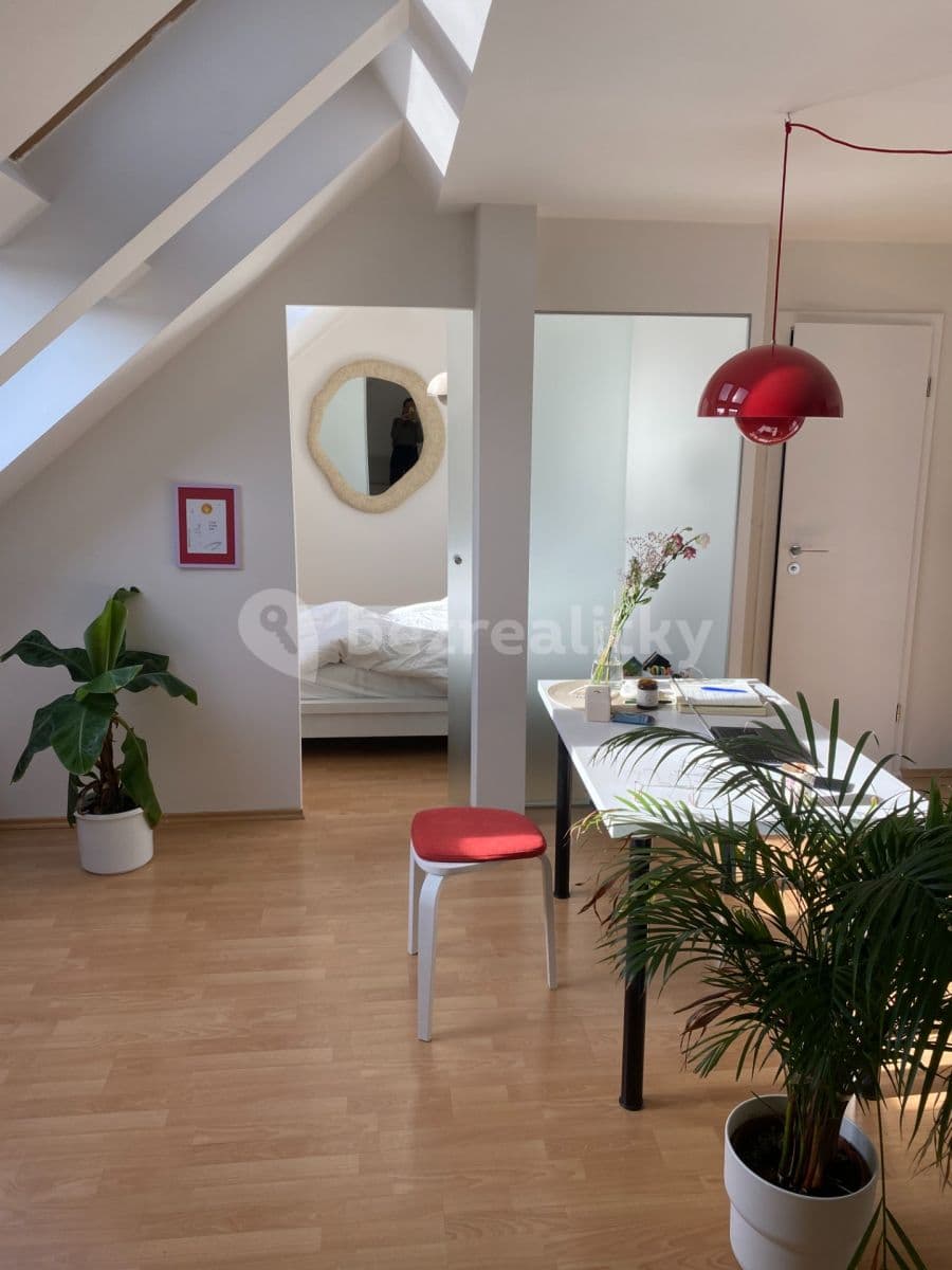 1 bedroom with open-plan kitchen flat to rent, 48 m², Jirečkova, Prague, Prague 1 bedroom with open-plan kitchen flat to rent, 48 m², Jirečkova, Prague, Prague